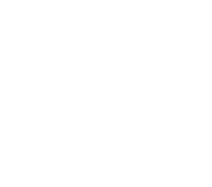 CSAH logo (white)
